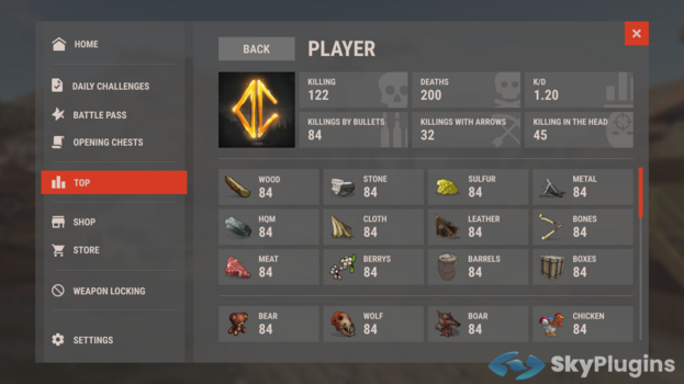 PLAYER PAGE.png