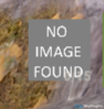 1743626520312.png